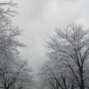 월악드림 이미지