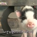 민지농장 이미지