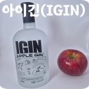 전통주 등 술만들기 | 아이긴(IGIN) 애플진 40도 전통주선물 하이볼 만들기 후기