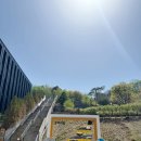 강아지 숲 | [강원도 춘천] 반려견들의 천국! '강아지숲' 내돈내산 솔직후기🐶🐾
