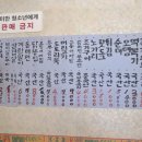 겨자씨분식