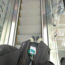 정림목장 | 허겁슨허겁슨