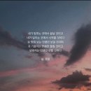 [별별클럽] 금쪽같은 댕냥이 | 골린이 등극! #30대취미 [내돈내산] #골프입문일기 #골프1일차