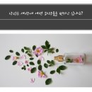 향기치유교육원 이미지