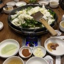 리플리히네일