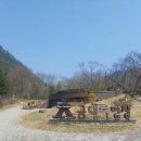 금대자동차야영장(치악산국립공원) 이미지