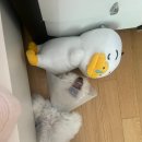 큐큐큐