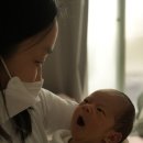 둥지조산원 국민일보