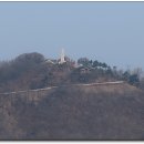 궁산축산 티스토리