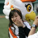 피앙세 이미지