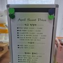 에이프릴센트 이미지