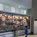 평창점 현대자동차 | 평창 동계 올림픽기념관 :: 대관령 평창 가볼만한곳, 대관령 실내가볼만한곳 추천