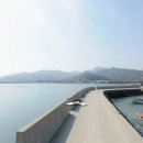 완도읍-11 이미지