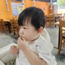 더기운센풍천장어