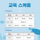 모이라순대국밥동홍점 | 혼자 제주도 여행 7, 8일차 기록 (스쿠버다이빙 오픈워터 자격증 취득 후기)
