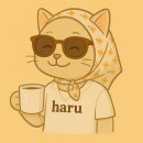 (주)리가 | 리가로얄호텔 고쿠라 후기｜객실·뷰·위치·주차·사소한 팁까지 총정리