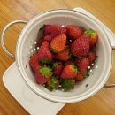 기택농장 이미지