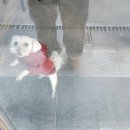 데이오브투컬러스