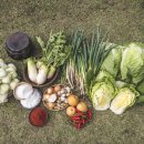 오산농장 이미지