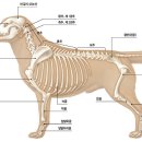 고려동물병원 이미지