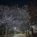 세월천로137번길 이미지