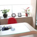 연세느티나무치과의원 이미지