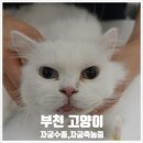 중동우리아이동물병원