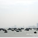 박물관 마트 이미지