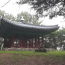 봉산 사과나무길 네이버블로그