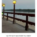 감돌의하루하루 이미지