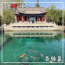 우묵천 | 중국 여행｜제남(지난) 5대 샘 중 하나 百脉泉(바이마이취안 공원) 다녀왔어요