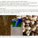 지앤엠시스템 이미지