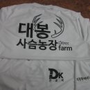 대봉사슴 이미지