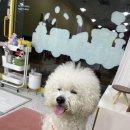 하이조이 이미지