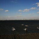 메추리 펜션 이미지