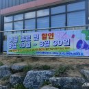 클린세탁사업단 이미지