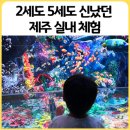 제주궁전 | 제주 자롤로뮤지엄 아이랑 | 3세, 5세도 즐긴 중문 실내 체험 솔직후기