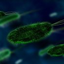 우먼플러스산부인과의원 이미지