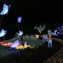 수성랜드 이미지