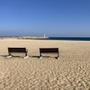 청호동 신수로 이미지