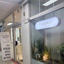 쑨(SSON) 네이버블로그