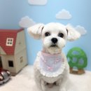 머뭉공간 이미지