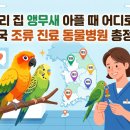 군포굿닥터동물병원 | [정보] 우리 집 앵무새 아플 때 어디로? 전국 조류 진료 동물병원 총정리