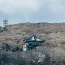GS25 디지스트위성점 | 🏔 [제주도 가볼만한곳] 제주 1100고지 도로 통제 확인법부터 휴게소·탐방로 후기까지