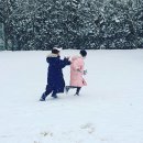 쌍둥이썰매 네이버블로그