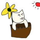 골든카페 이미지