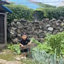 희준농장 이미지