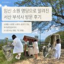 소원갈비 | 임신 소원 명당으로 알려진 서산 부석사 후기｜소원돌...부석냉면갈비까지~~ (+소원 비는 방법, 기도...