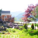 산마루펜션민박 이미지