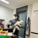 한국스마트플랜 | 아파트 헬스장 기구로 루틴 짜주는 앱 찾다가 플랜핏 쓰게 된 이야기